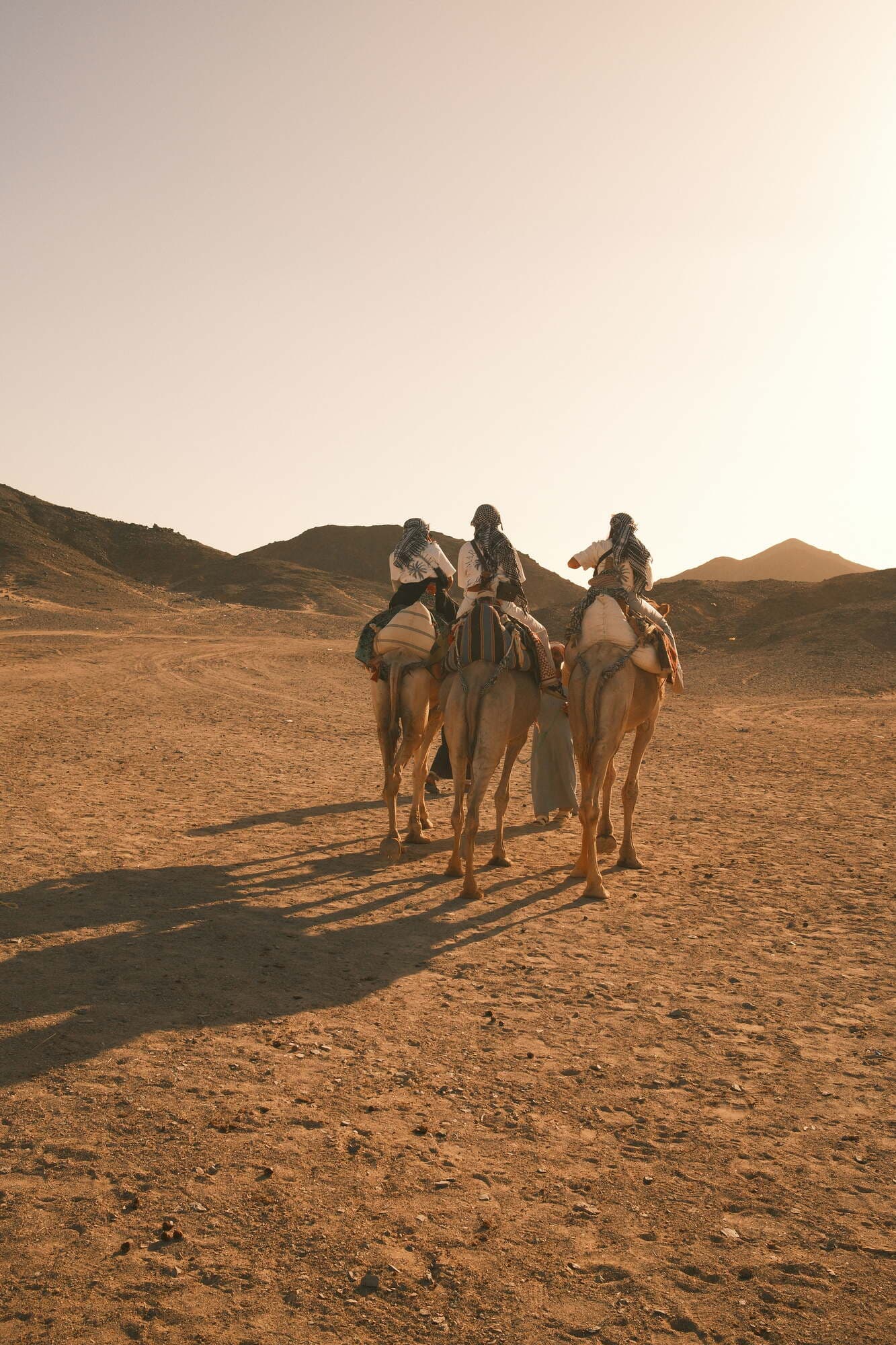 Buggy Safari 5-Hour